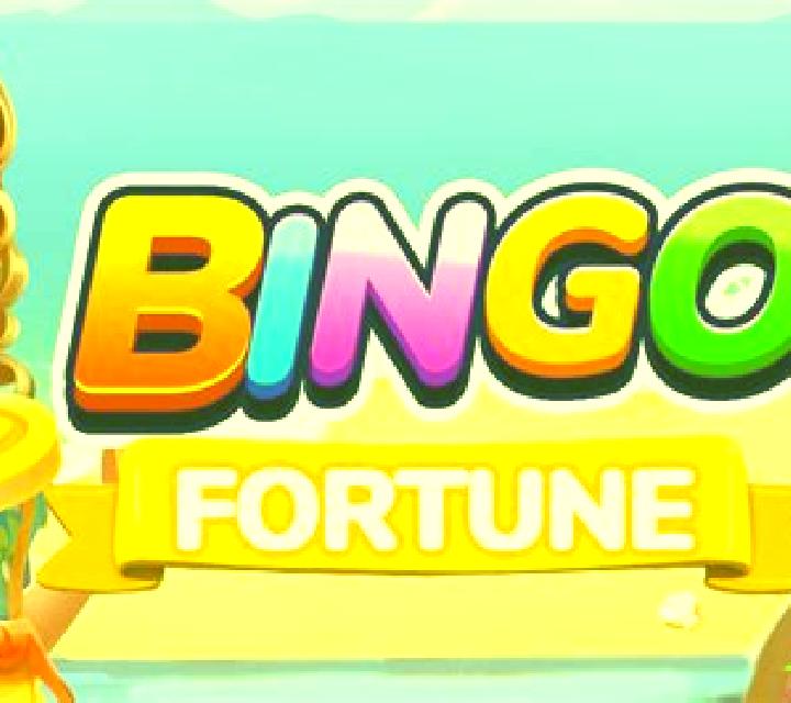 Bingo Fortune slot game