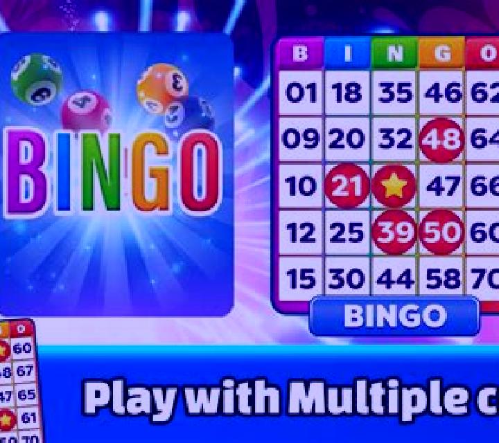 Bingo Fun online slot