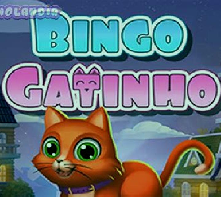 Bingo Gatinho online slot