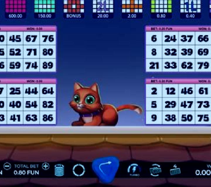 Bingo Gatinho slot game