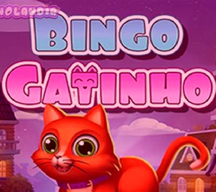 Bingo Gatinho slot