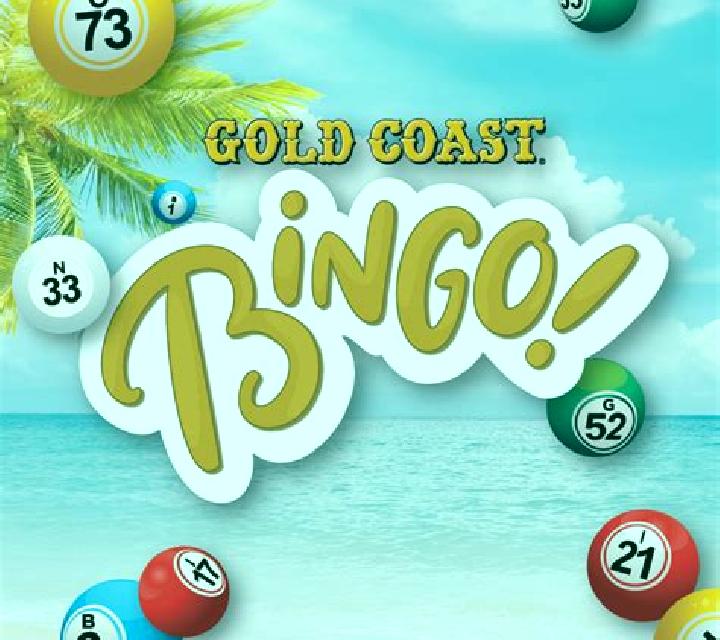 Bingo-Go slot game
