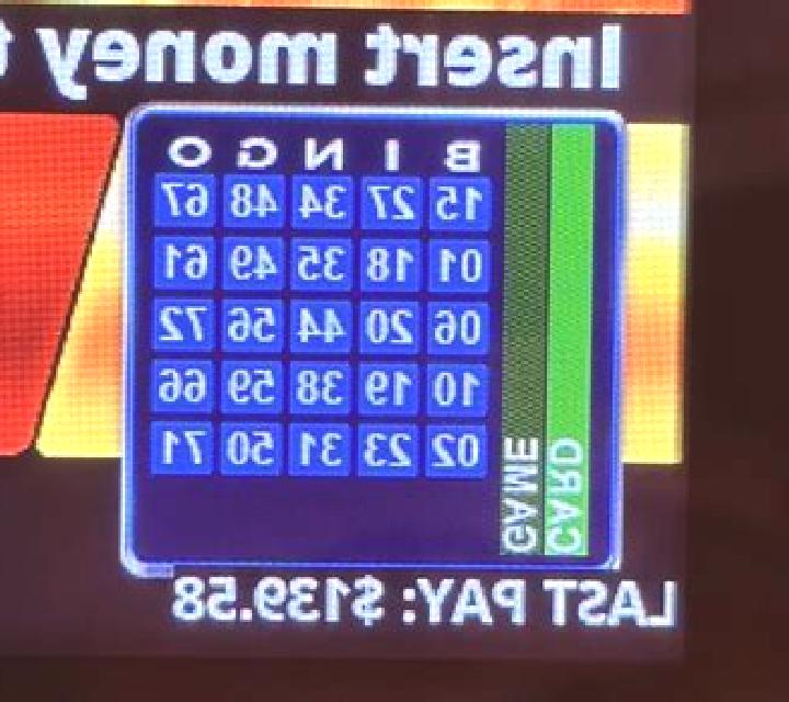 Bingo-Go slot machine