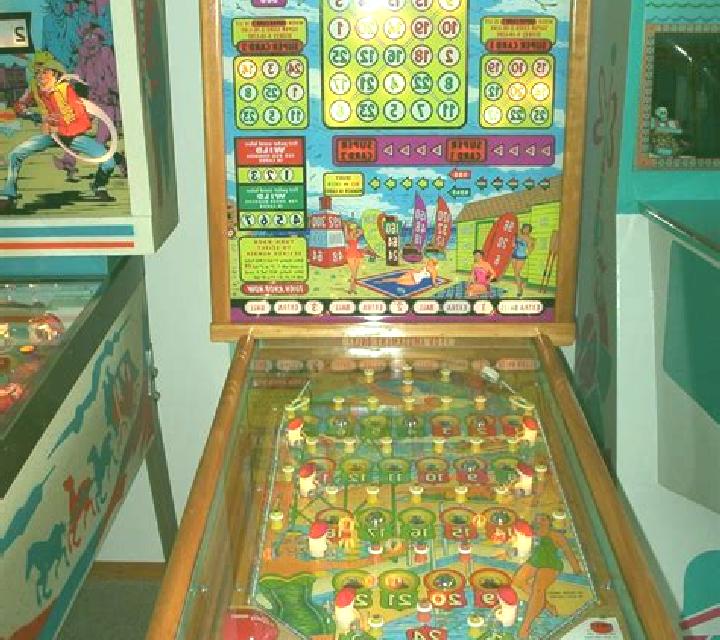 Bingo Iglu slot machine