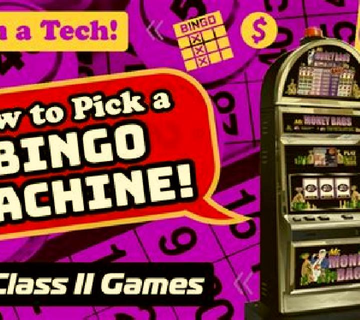Bingo (Spigo) slot machine