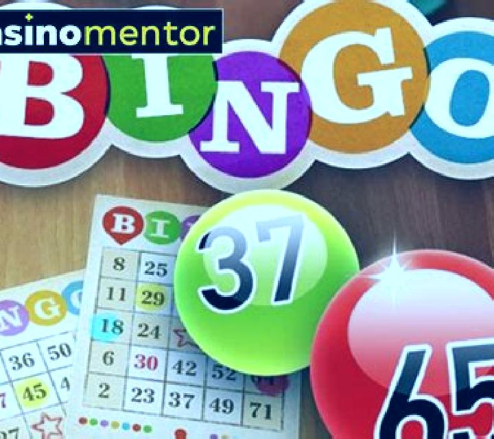 Bingo (Spigo) slot