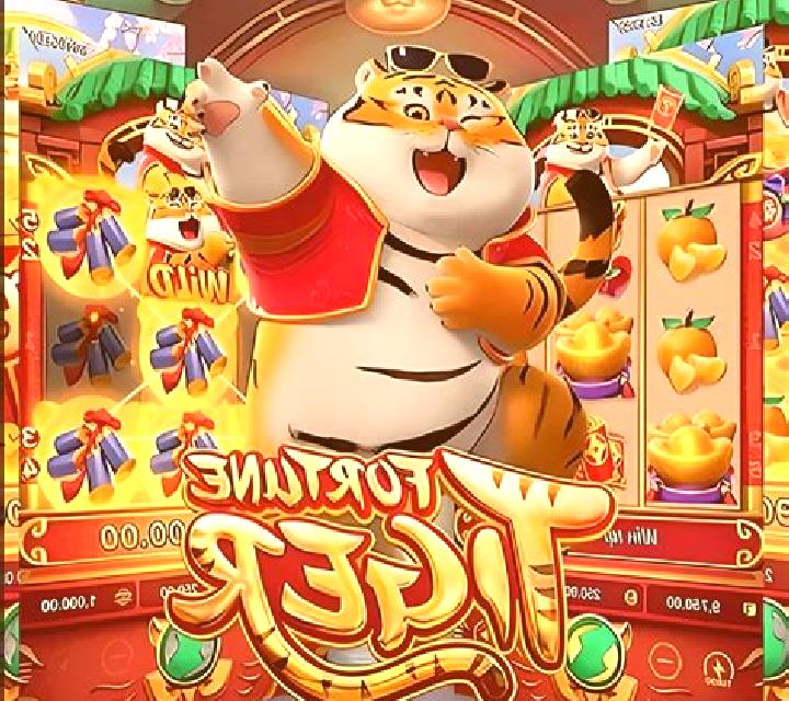 Bingo Tigrinho slot machine