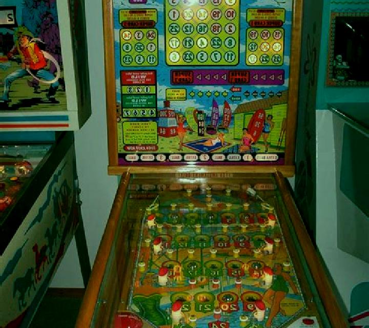 Bingo Triplo slot machine