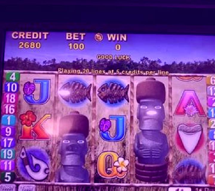 Bird Island slot machine