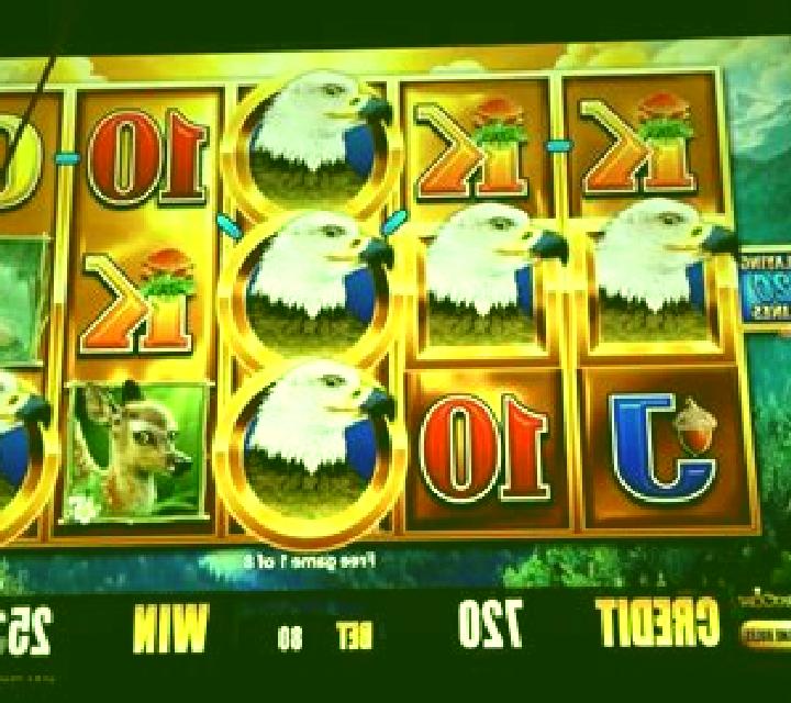 Bird of Prey slot machine