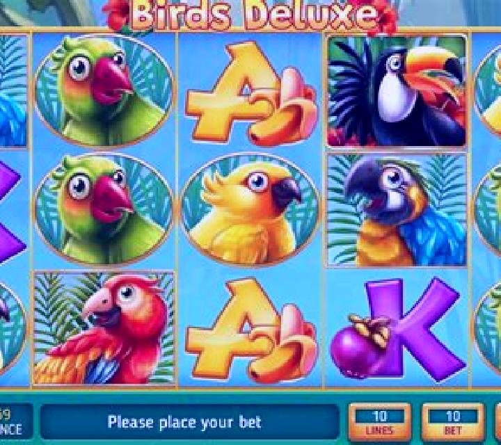 Birds Deluxe slot