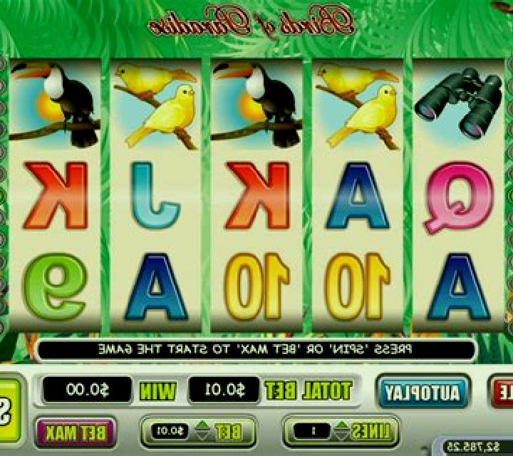 Birds Paradise slot game