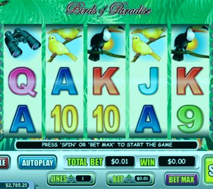 Birds Paradise slot machine