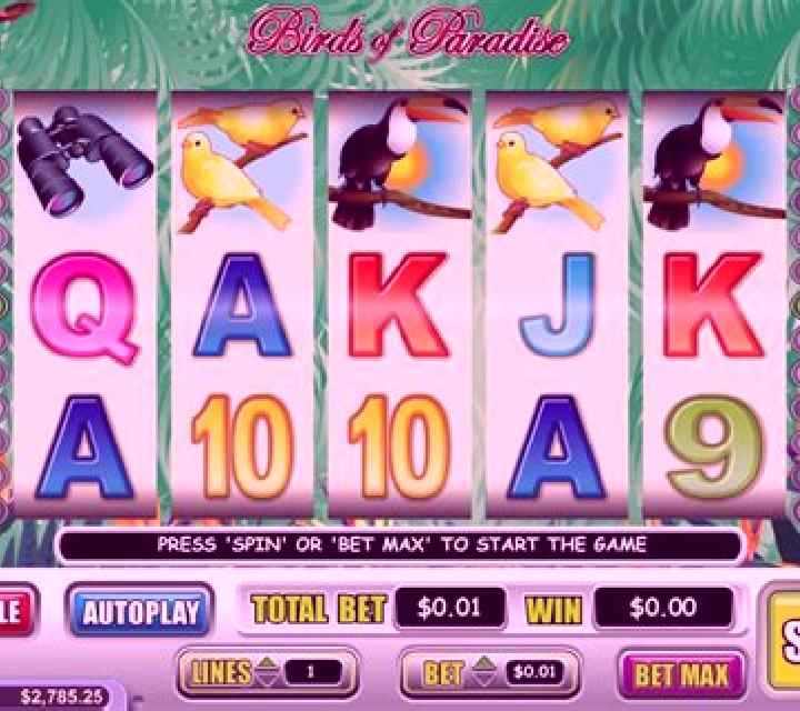 Birds Paradise slot