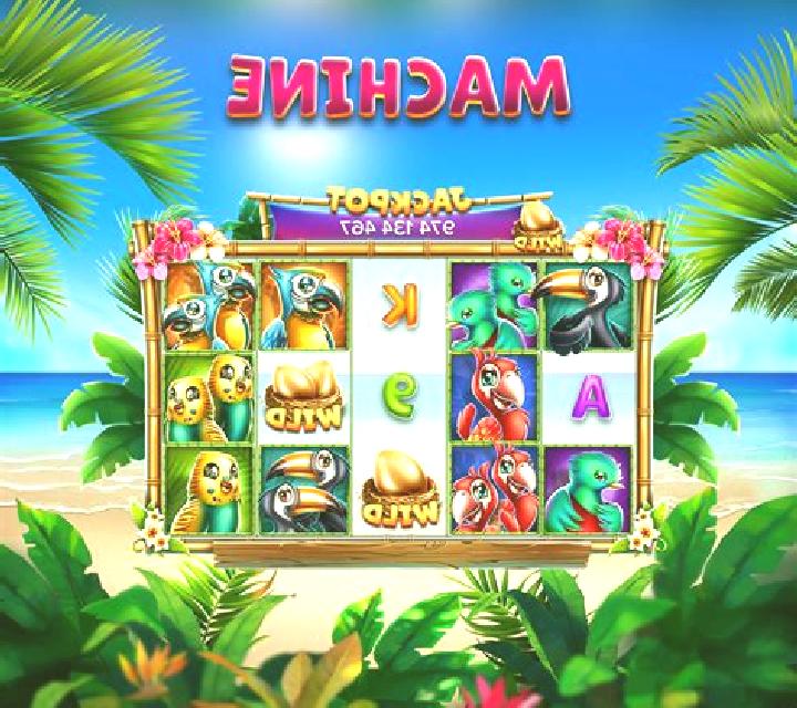 Birds slot game
