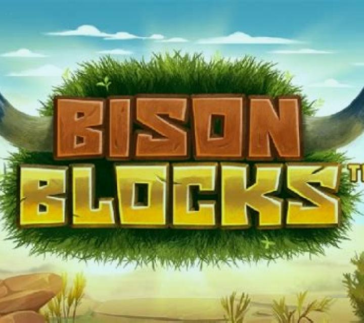 Bison Blocks slot