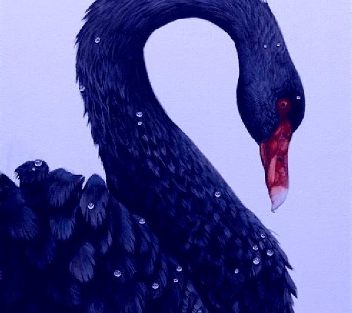 Black Swan online slot