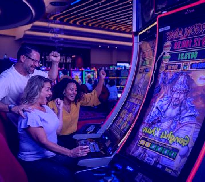 Blackjack Professional Series Low Limit slot game
