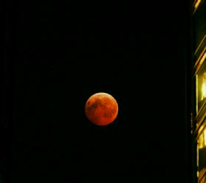 Blood Moon (X Card) online slot