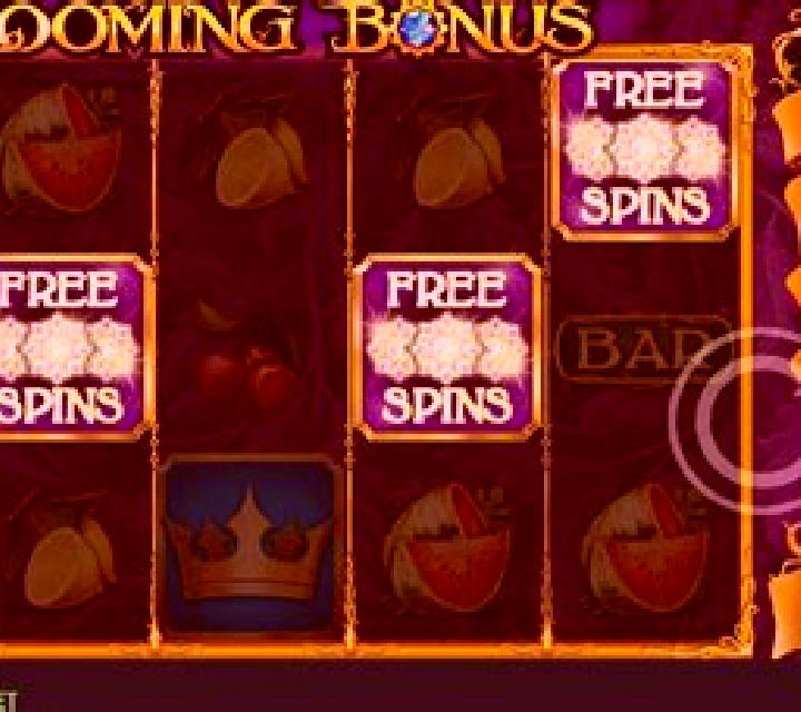 Blooming Bonus online slot