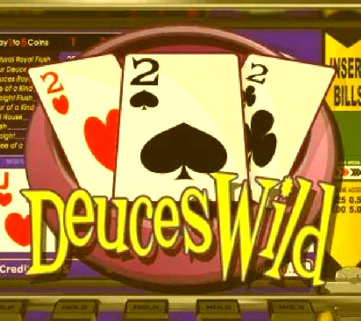 Bonus Deuces Wild (Red Rake) slot game