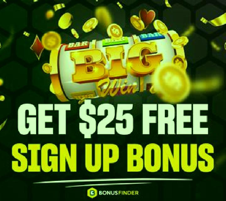 Bonus Poker (RTG) online slot