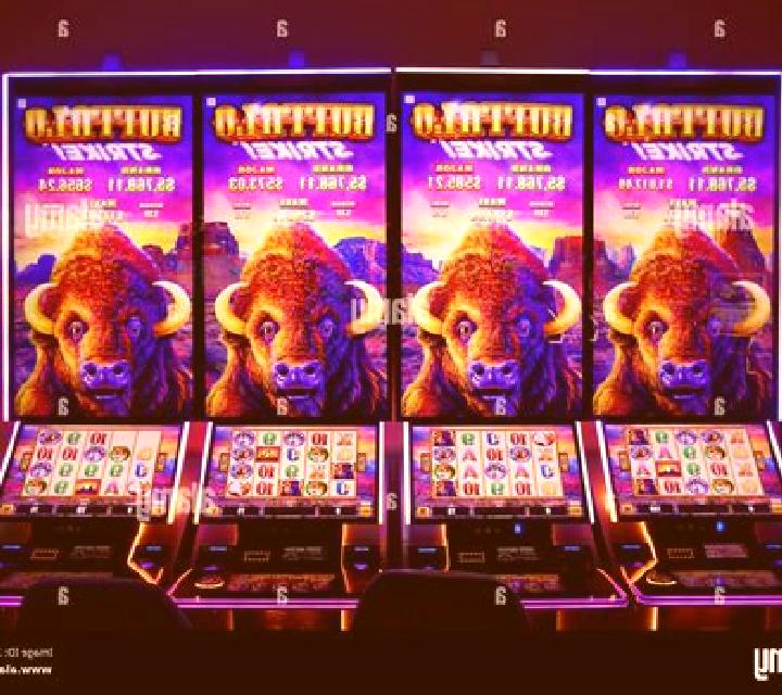 Book of Buffalo slot machine