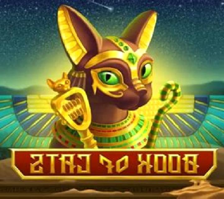 Book Of Cats slot game