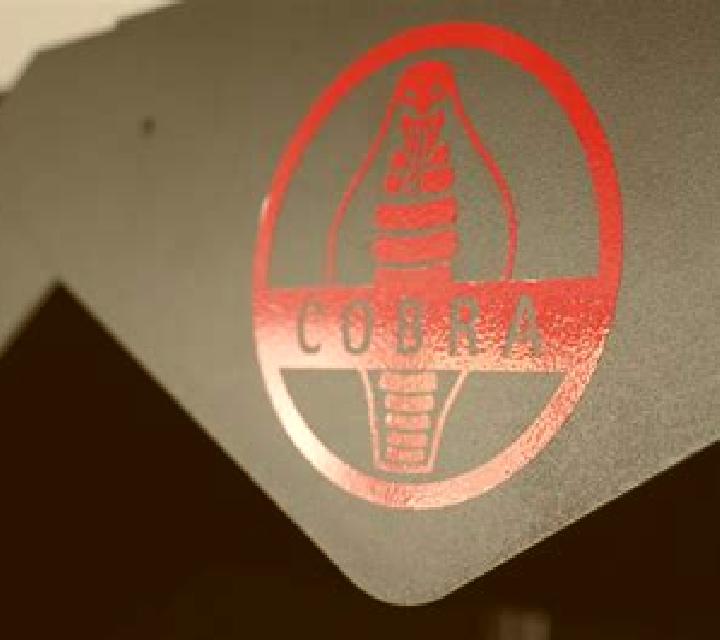 Book of Cobra slot