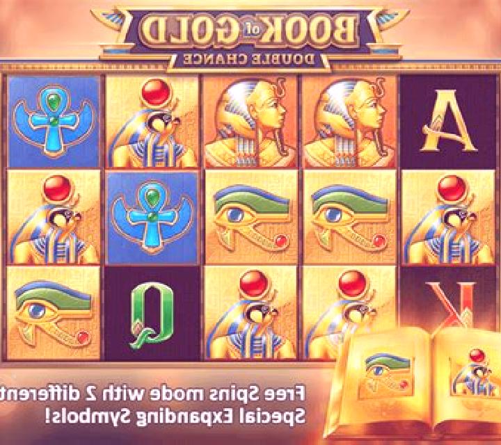 Book of Gold: Double Chance slot game