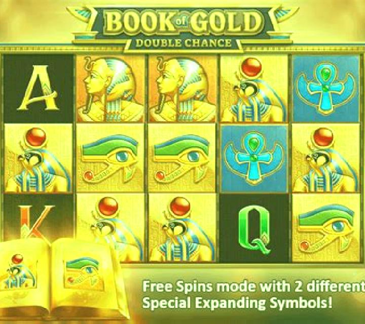 Book of Gold: Double Chance slot
