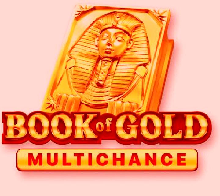 Book of Gold Multichance slot game