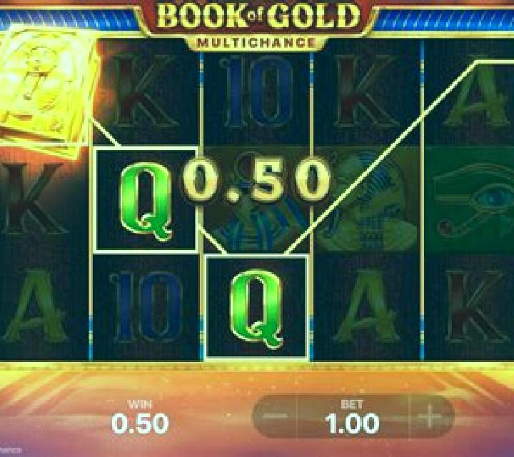 Book of Gold Multichance slot