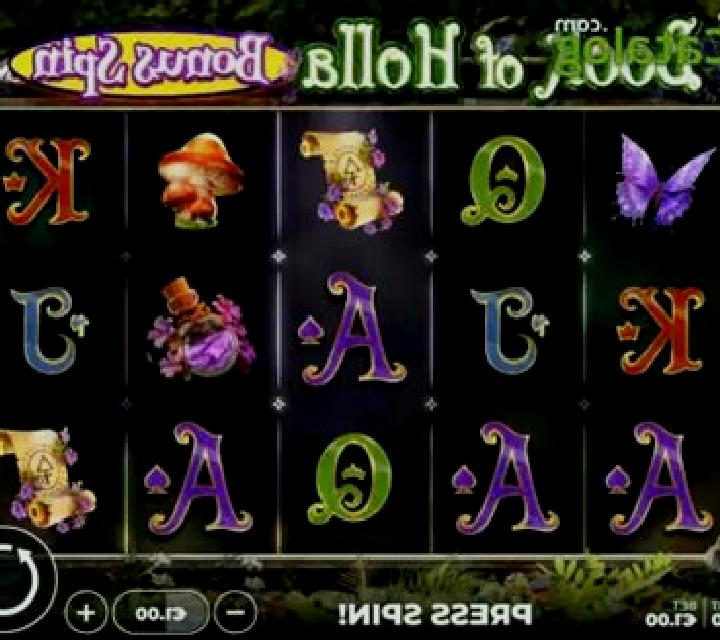 Book of Holla: Bonus Spin slot game