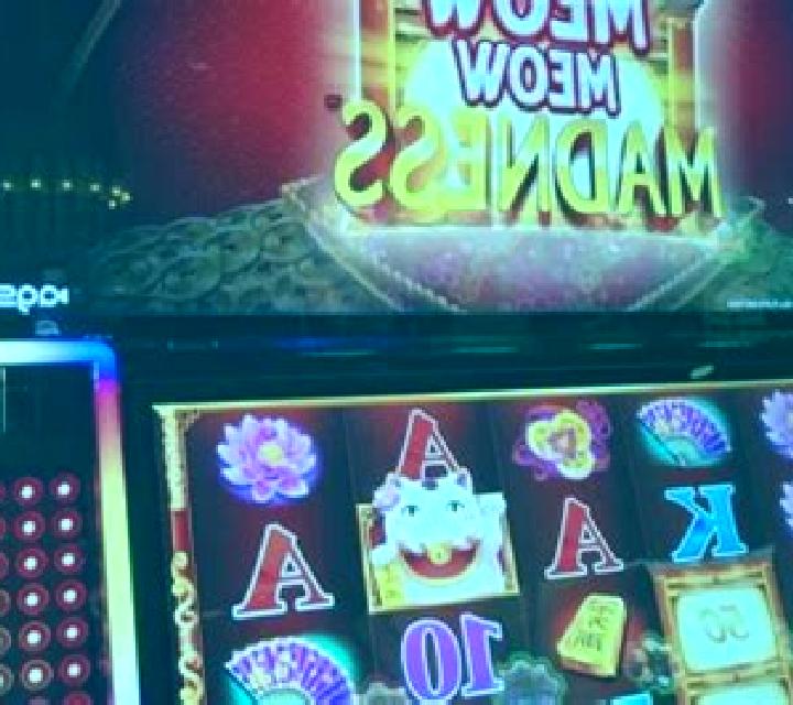 Book of Meow slot machine