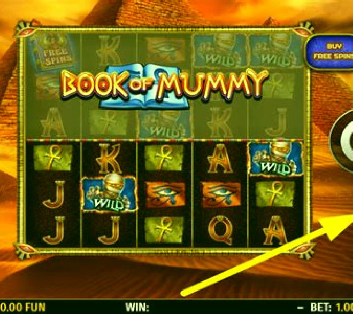 Book of Mummy (Octavian Gaming) slot game