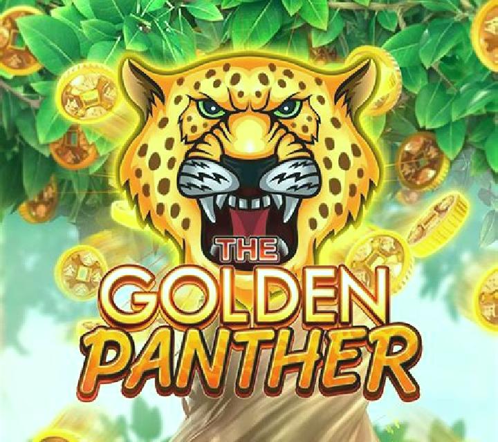 Book of Panther slot game