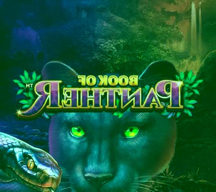 Book of Panther slot