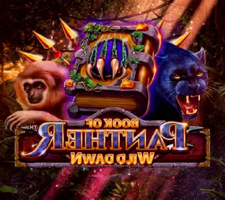 Book Of Panther Wild Dawn online slot