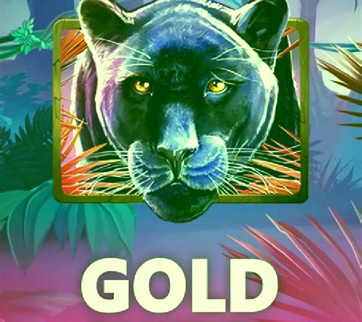Book Of Panther Wild Dawn slot game