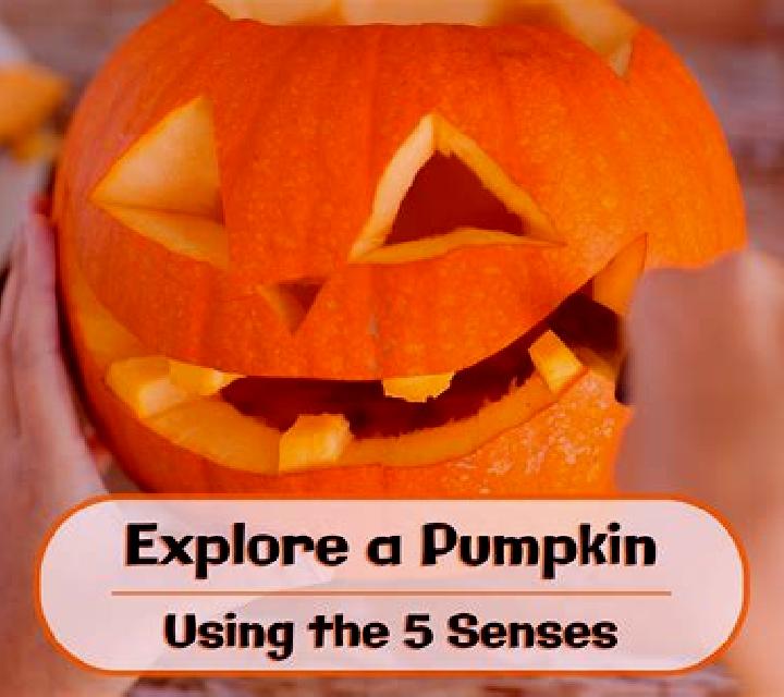 Book of Pumpkin (Five Men Games) online slot