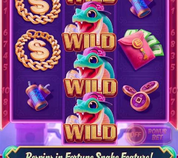 Book of Snake slot game