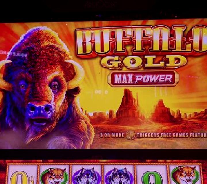 Book of the Golden Buffalo slot machine