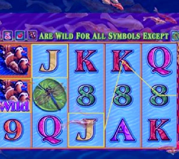 Book of the Red Lotus slot machine