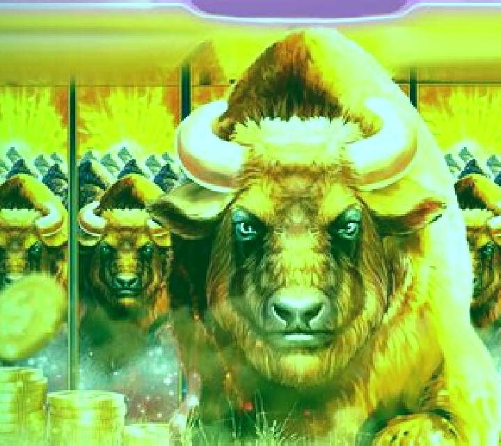 Book of Wild slot game
