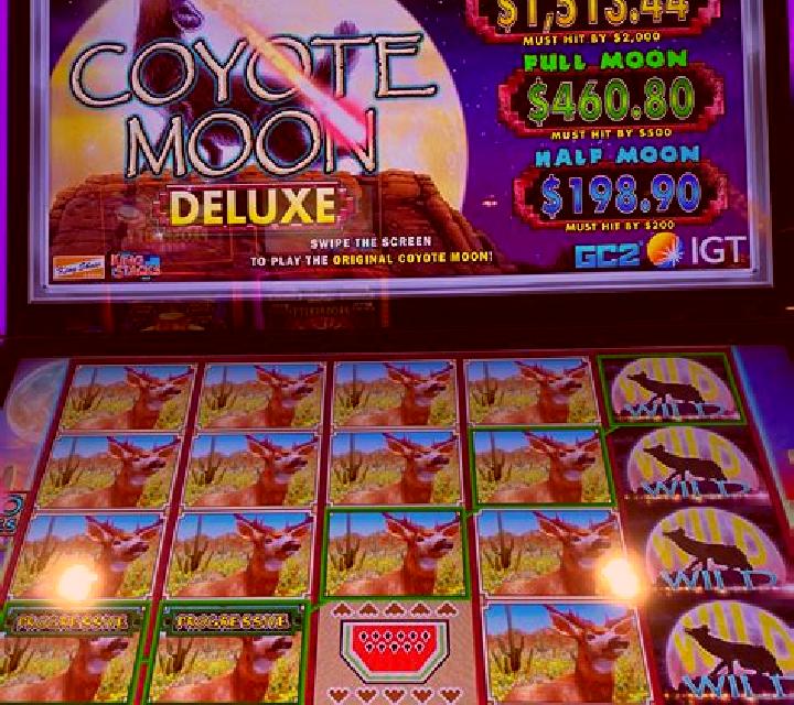 Book Of Wolves - Full Moon slot machine