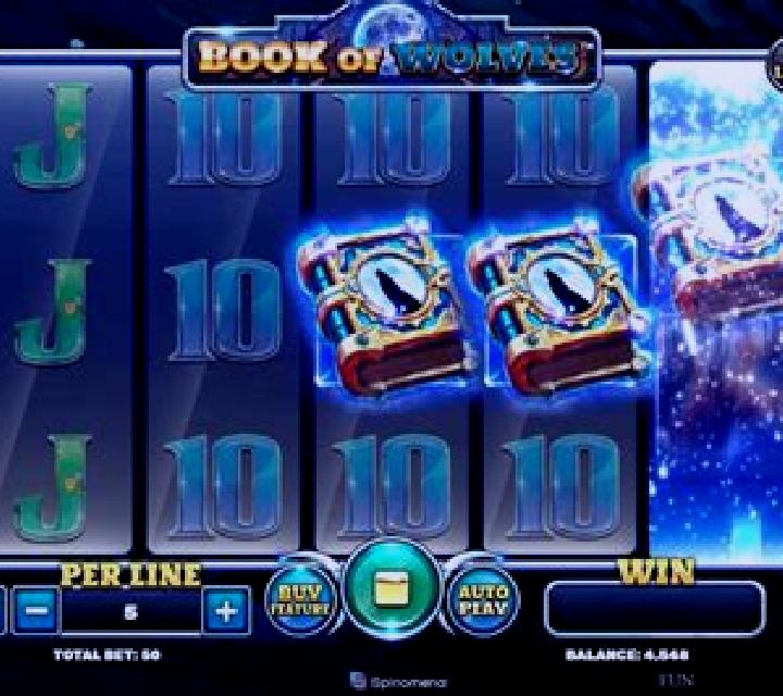 Book Of Wolves (Spinomenal) slot machine