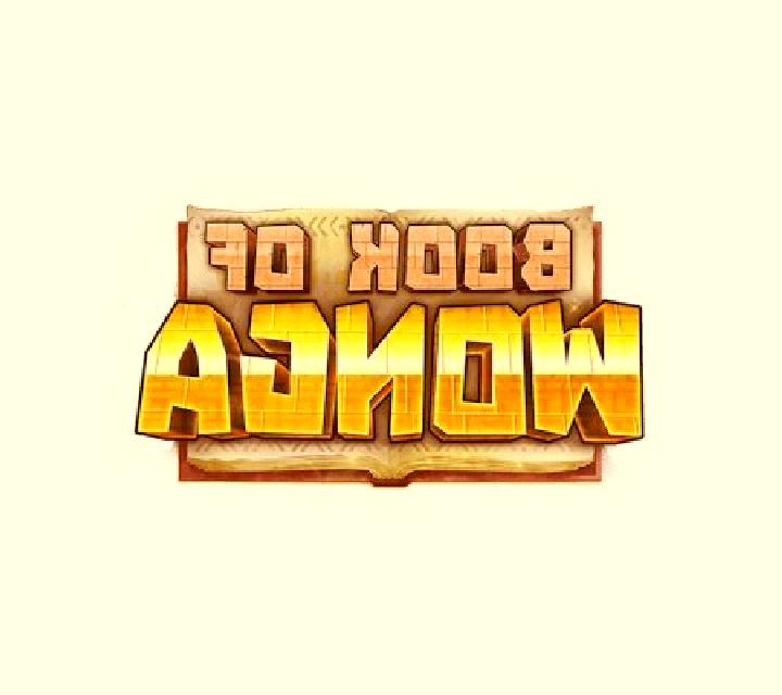 Book of Wonga slot game