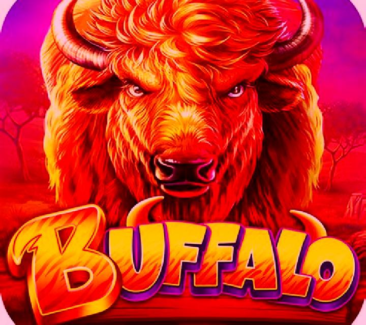 Books and Bulls slot game