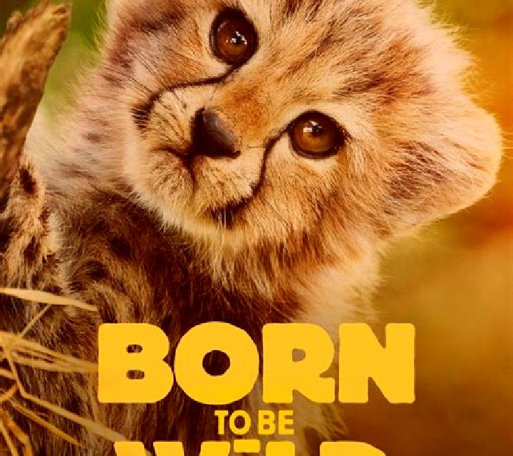 Born Wild online slot